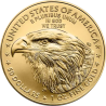 Zlatá mince 1 Oz American Eagle 2024