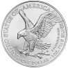 Stříbrná mince 1 Oz American Eagle 2024