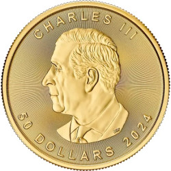 Zlatá mince 1 Oz Maple Leaf 2024