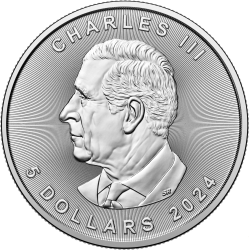 Stříbrná mince 1 Oz Maple Leaf 2024