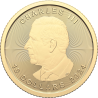 Zlatá mince 1/4 Oz Maple Leaf 2024