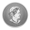 Stříbrná mince 1 Oz Maple Leaf Ultra High Relief 2022