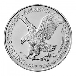 Stříbrná mince 1 Oz American Eagle 2021 typ 2