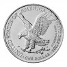 Stříbrná mince 1 Oz American Eagle 2021 typ 2