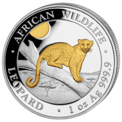 Stříbrná mince 1 Oz African Wildlife Leopard 2021 Zlaceno