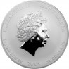 Stříbrná mince 1 Kg Lunar Series II Year of the Horse 2014