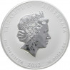 Stříbrná mince 1 Kg Lunar Series II Year of the Dragon 2012