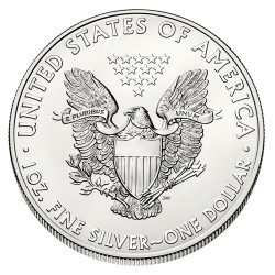 Stříbrná mince 1 Oz American Eagle 2013