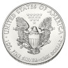 Stříbrná mince 1 Oz American Eagle 2013