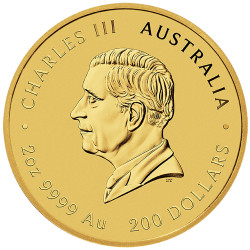 Zlatá mince 2 Oz Lunar Series III Year of the Snake 2025