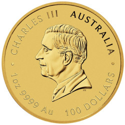 Zlatá mince 1 Oz Lunar Series III Year of the Snake 2025