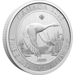 Stříbrná mince 2 Oz Canada Goose 2025