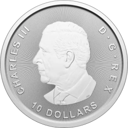 Stříbrná mince 2 Oz Canada Goose 2025