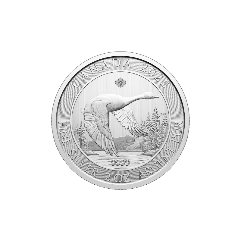 Stříbrná mince 2 Oz Canada Goose 2025