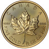 Zlatá mince 1/2 Oz Maple Leaf 2025