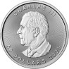 Platinová mince 1 Oz Maple Leaf 2025