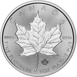 Platinová mince 1 Oz Maple...