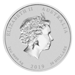 Stříbrná mince 1 Kg Lunar Series II Year of the Pig 2019