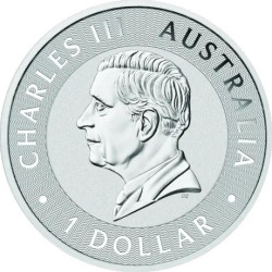 Stříbrná mince 1 Oz Kangaroo 2025