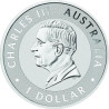 Stříbrná mince 1 Oz Kangaroo 2025