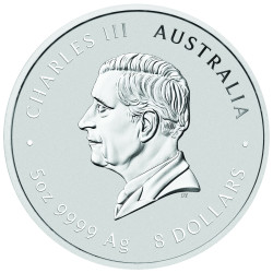 Stříbrná mince 5 Oz Lunar Series III Year of the Snake 2025