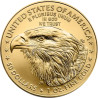 Zlatá mince 1 Oz American Eagle 2025