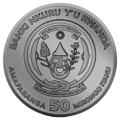 Stříbrná mince 1 Oz Art Color Collection Year of the Dragon 2024 Kolorováno