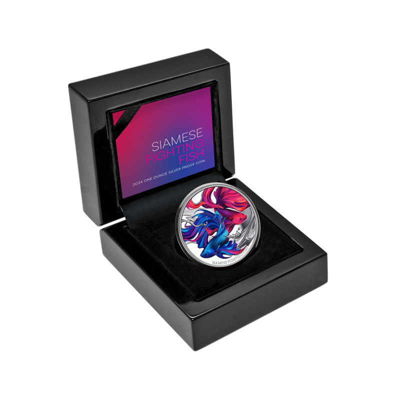 Stříbrná mince 1 Oz Siamese Fighting Fish 2024 Proof