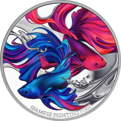Stříbrná mince 1 Oz Siamese Fighting Fish 2024 Proof