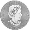 Stříbrná mince 1 Oz Maple Leaf 2019
