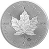 Stříbrná mince 1 Oz Maple Leaf 2019