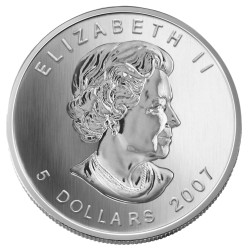 Stříbrná mince 1 Oz Maple Leaf 2007