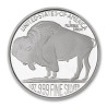 Stříbrná medaile 1 Oz American Buffalo