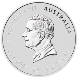 Stříbrná mince 1 Oz Lunar Series III Year of the Snake 2025 Zlaceno