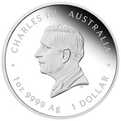 Stříbrná mince 1 Oz Lunar Series III Year of the Snake 2025 Kolorovaná Proof