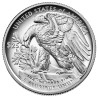 Palladiová mince 1 Oz American Eagle 2021