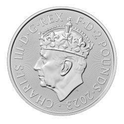 Stříbrná mince 1 Oz...