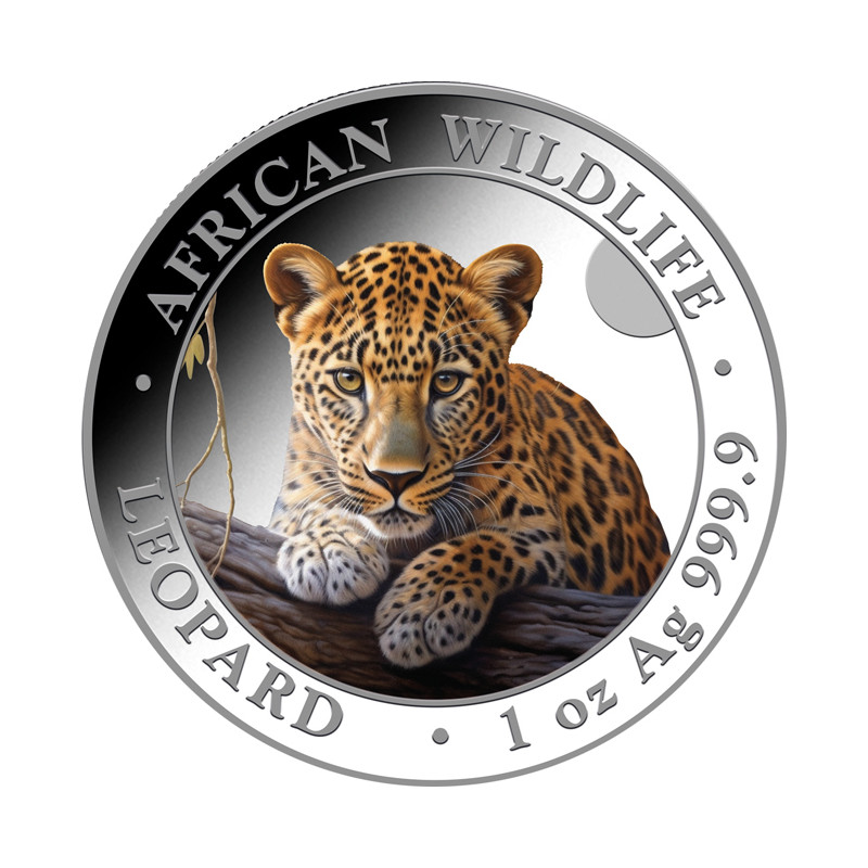 Stříbrná mince 1 Oz African Wildlife Leopard 2025 Kolorovaná