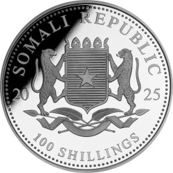 Stříbrná mince 1 Oz African Wildlife Leopard 2025 Kolorovaná