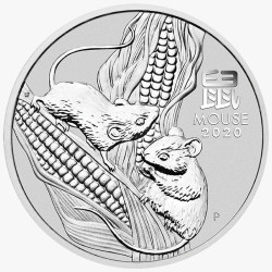 Stříbrná mince 1 Oz Lunar...