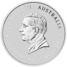 Stříbrná mince 1 Oz Lunar Series III Year of the Snake 2025 Kolorovaná