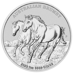 Stříbrná mince 1 Oz...
