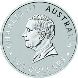 Platinová mince 1 Oz Kangaroo 2025
