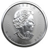 Stříbrná mince 1 Oz Maple Leaf různé roky