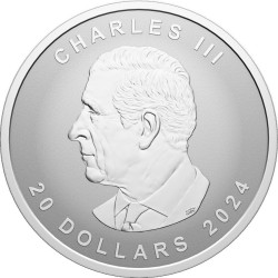 Stříbrná mince 1 Oz Maple Leaf různé roky