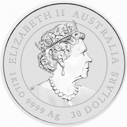 Stříbrná mince 1 Kg Lunar Series III Year of the Ox 2021