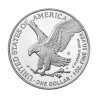 Stříbrná mince 1 Oz American Eagle 2023 Proof