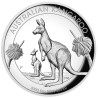 Stříbrná mince 5 Oz Australian Kangaroo High Relief Proof 2020