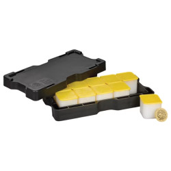 Zlatá mince 1 Oz The Tudor Beasts Queens Lion 2026