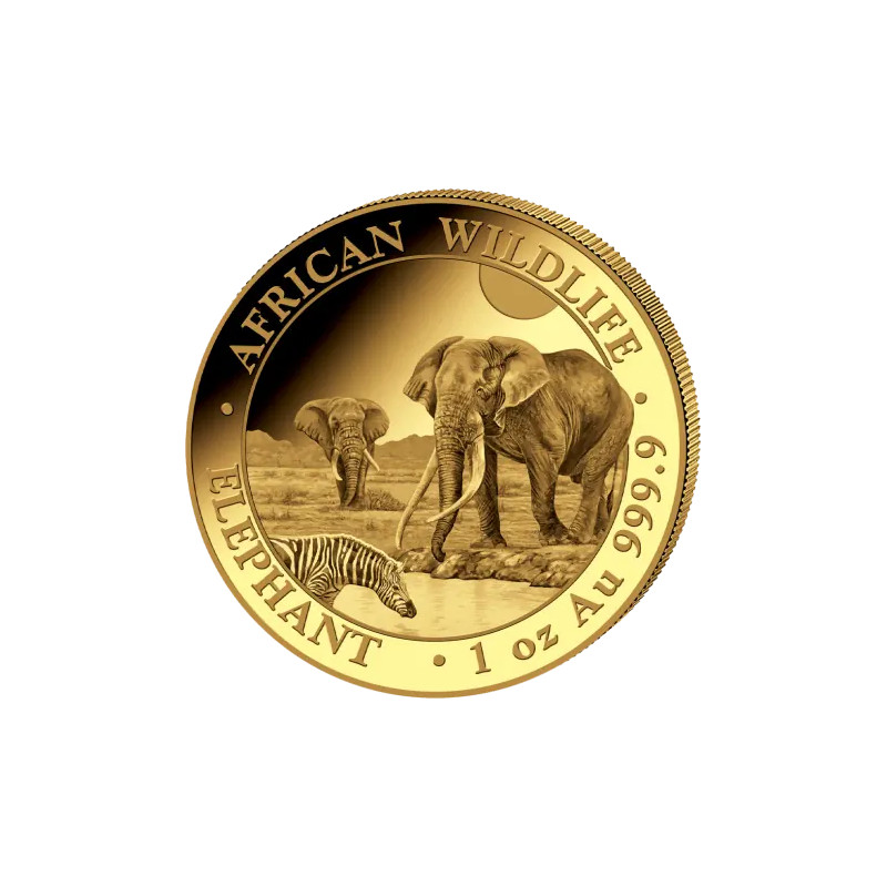 Zlatá mince 1 Oz African Wildlife Elephant 2026